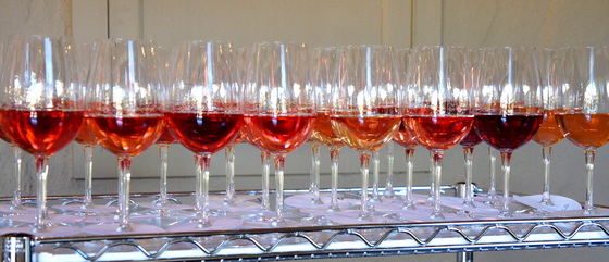 Rhone roses.JPG